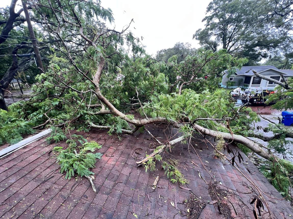 Before: a large storm-downed tree sprawled across a shingle roof, branches and debris everywhere